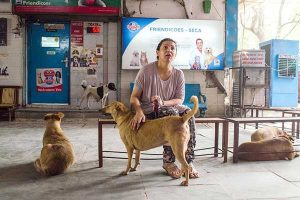 Dog adoption in Delhi