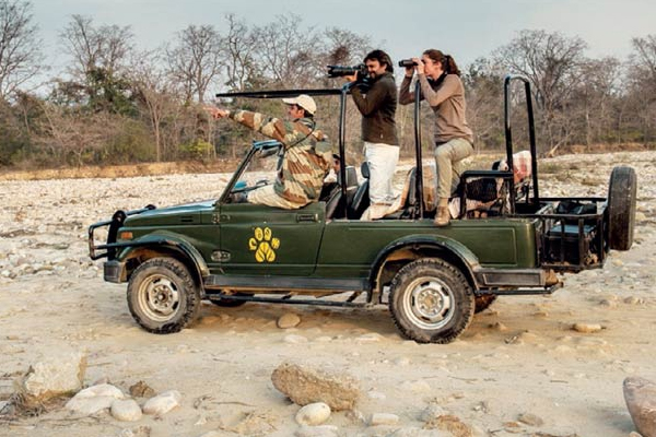 Jeep Safaris in Jim Corbett