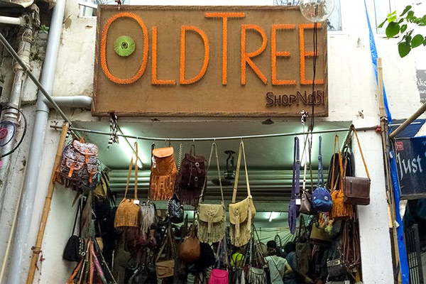 Old tree Sarojini Nagar